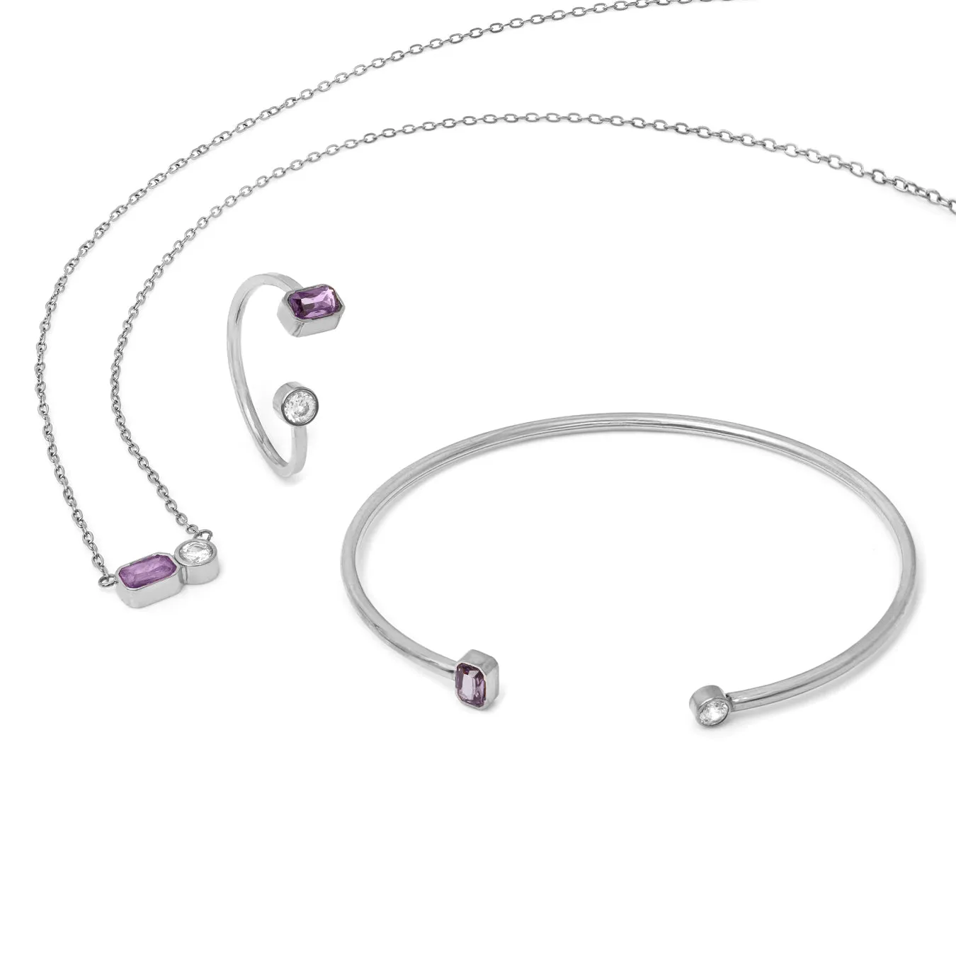 February Amethyst Birthstone Gift Set - Silver