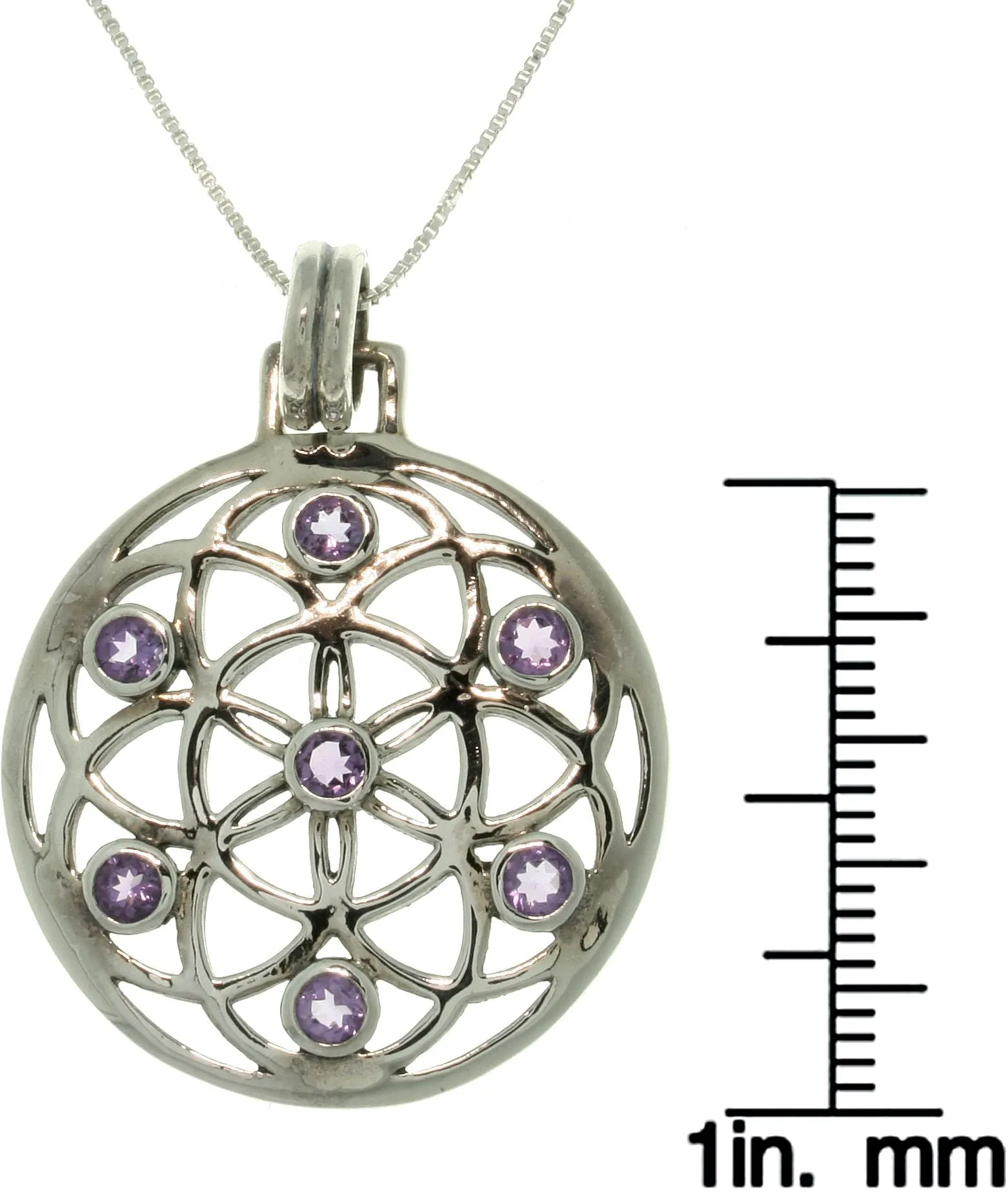 Jewelry Trends Sterling Silver Amethyst Flower of Life Pendant on 18 Inch Box Chain Necklace