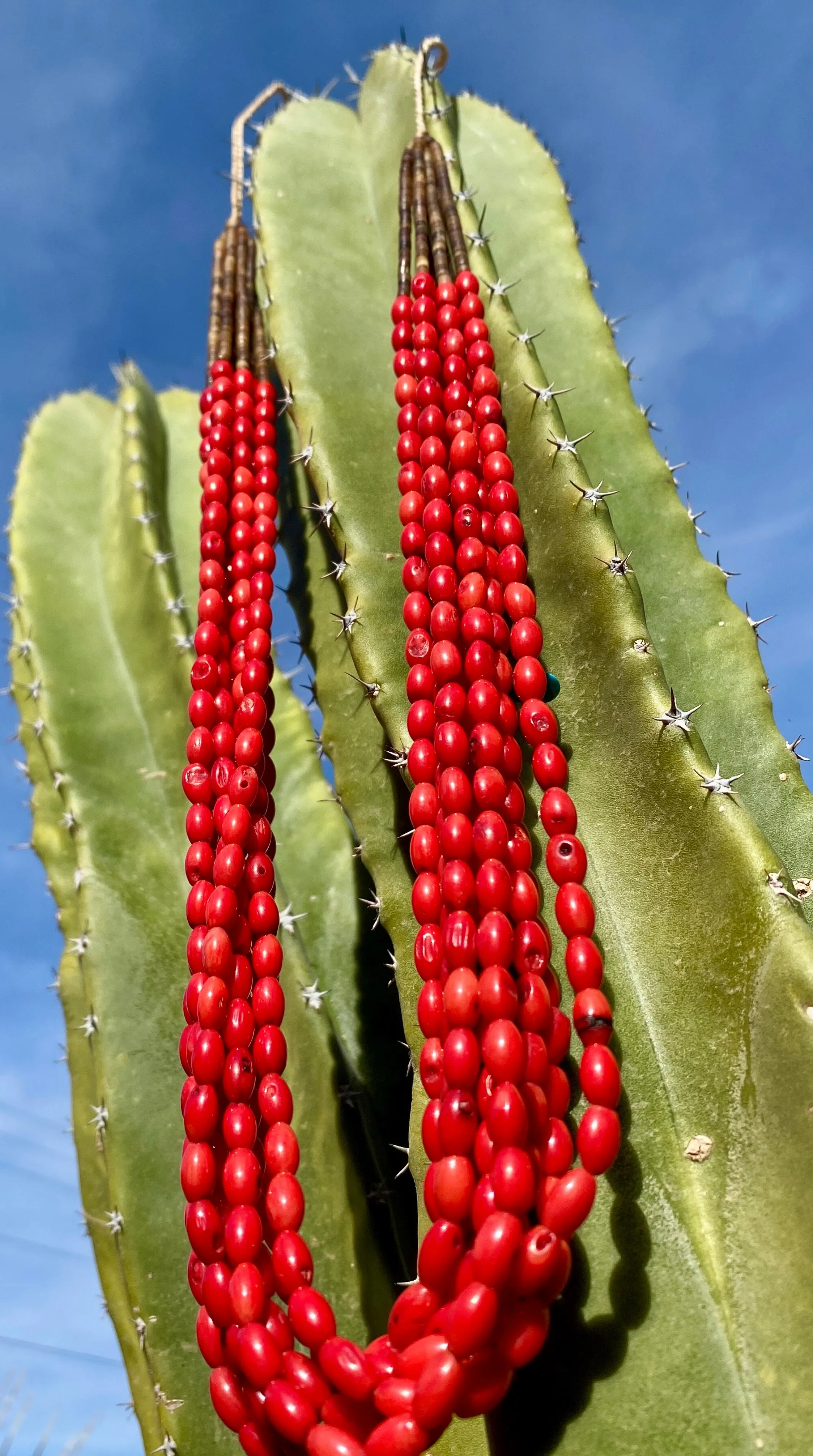 Santo Domingo Coral Heishi Necklace