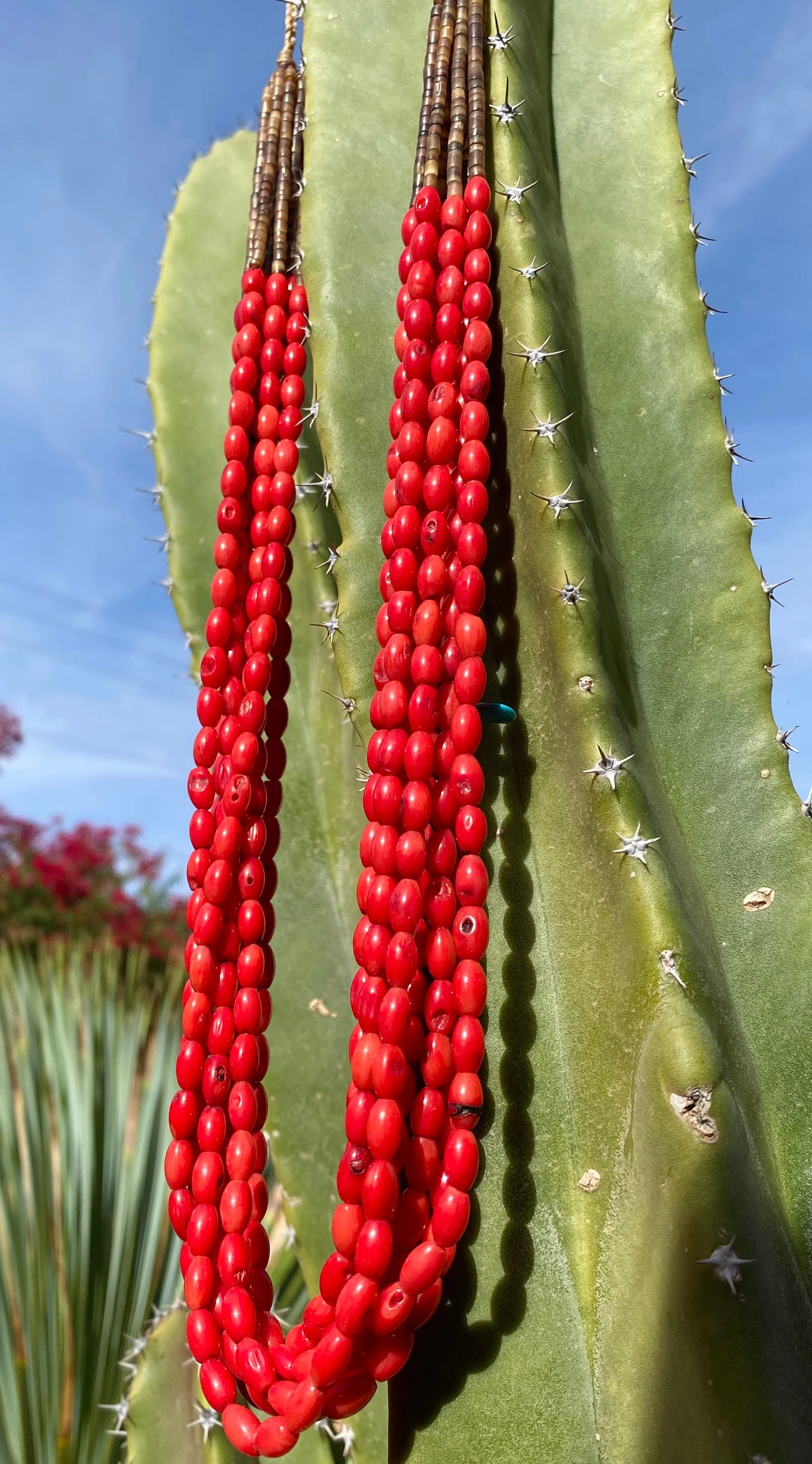 Santo Domingo Coral Heishi Necklace