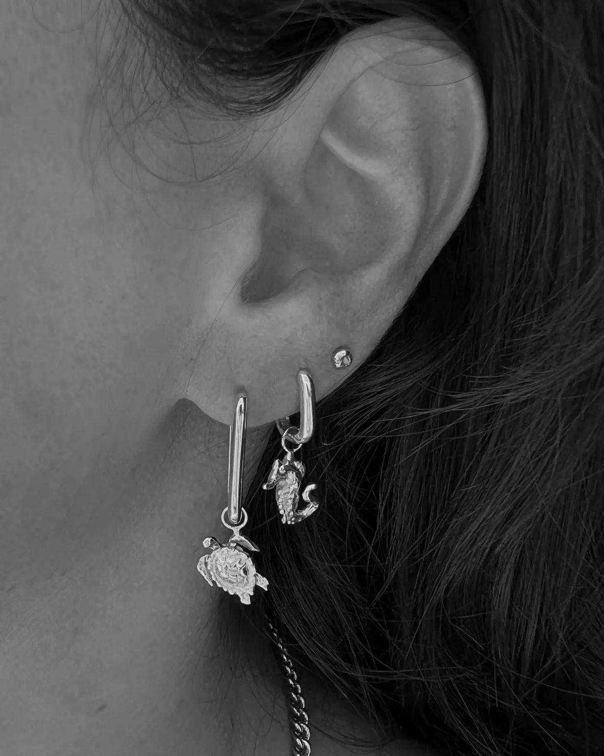 Seahorse Earring | Silver